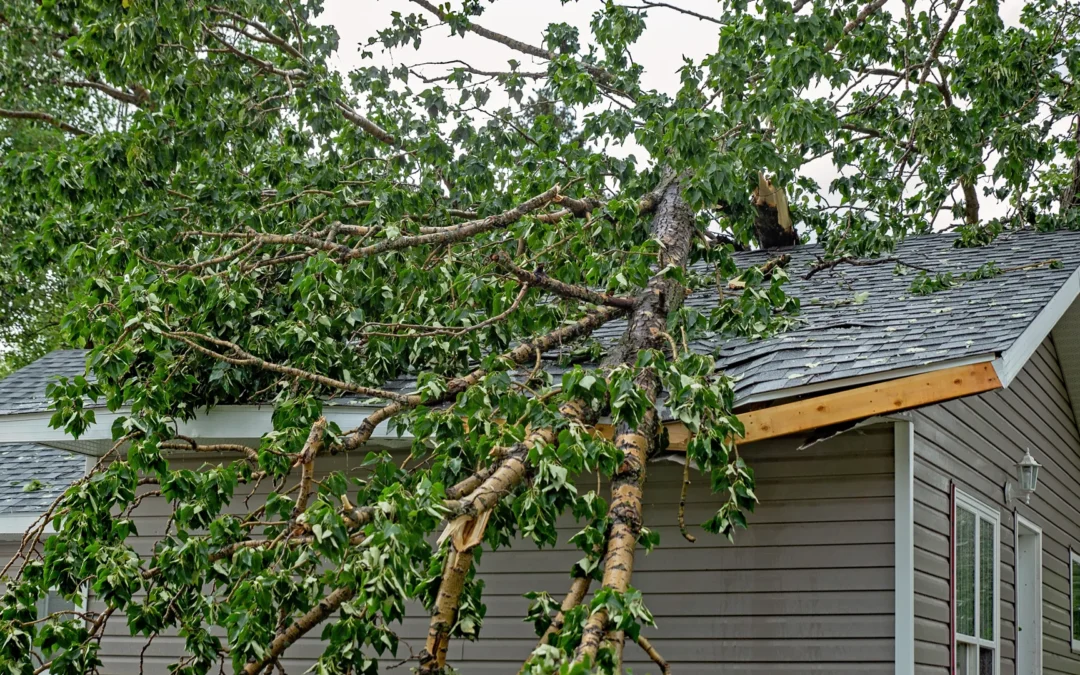 Storm and Hurricane Season: Roof Tips